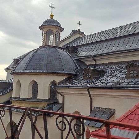 Сонячна Мансарда Apartment Camenița Exterior foto